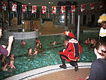 Sinterklaas foto's